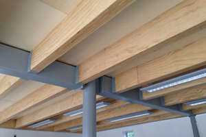 supremehomerenovators-Floor Beams