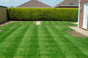 supremehomerenovators-Landscaping