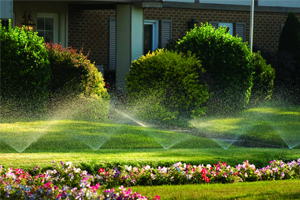 Lawn irrigation system
