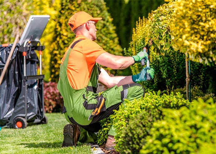 supremehomerenovators Landscaping service main image