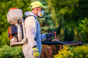 supremehomerenovators Pest Control