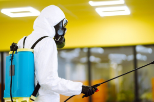 Supremehomerenovators-Hazardous Material Removal